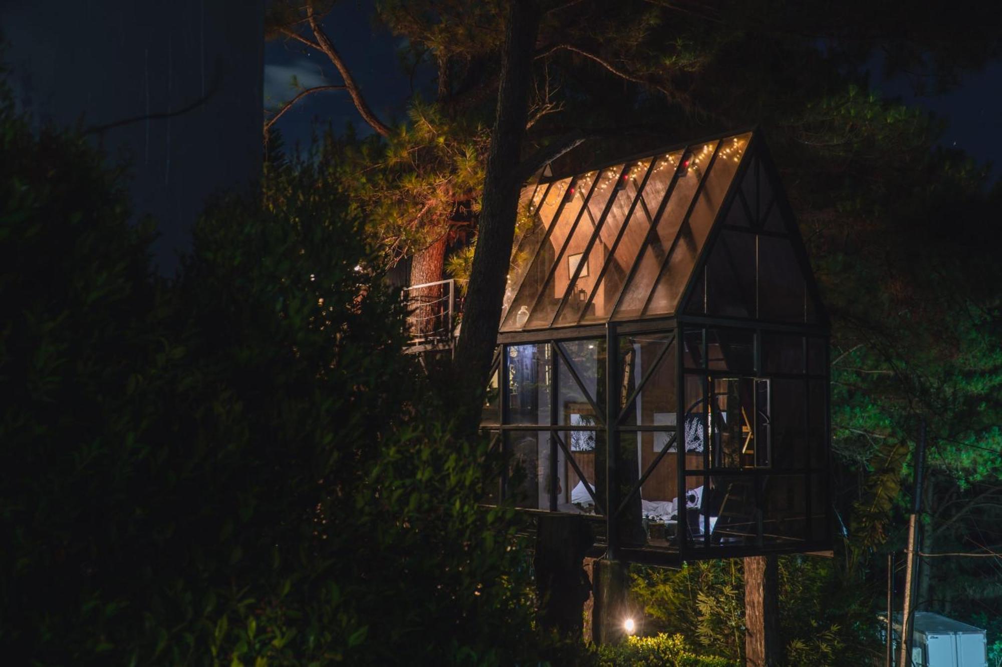 הוילה באגויו Tudor In The Pines מראה חיצוני תמונה