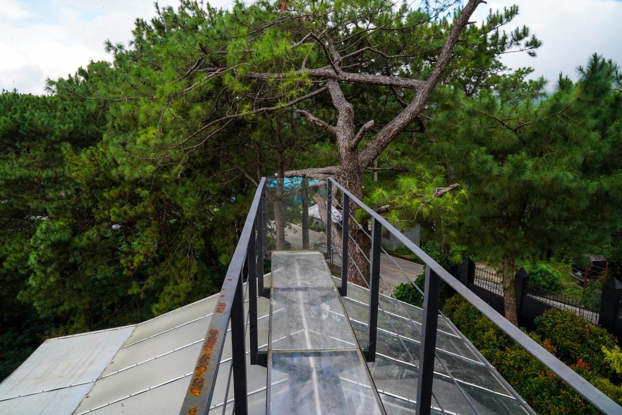 הוילה באגויו Tudor In The Pines מראה חיצוני תמונה
